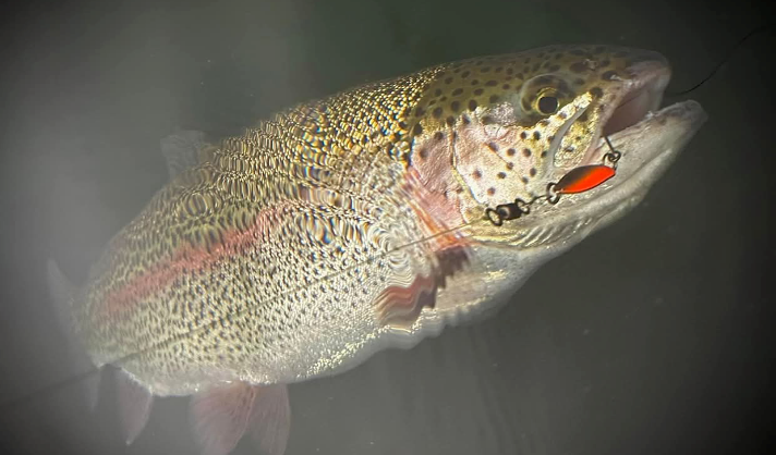 FISHING PICTURES CHARACTER LURES 2