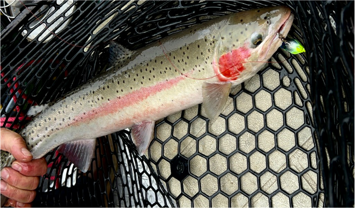 FISHING PICTURES CHARACTER LURES 3